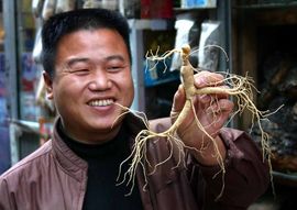 人参烘干工艺流程与操作要点